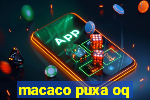 macaco puxa oq